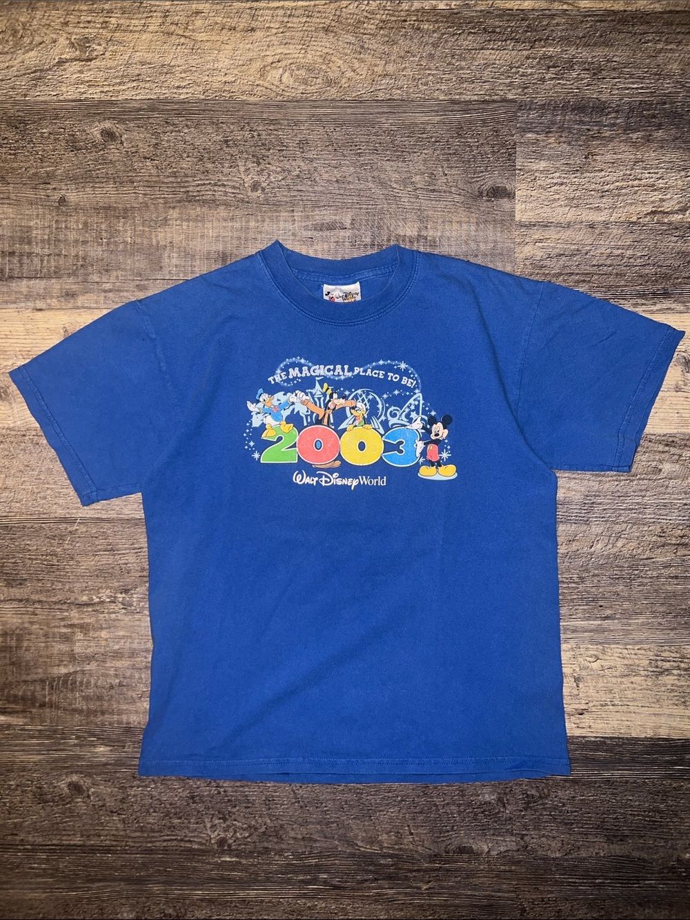 2003 Walt Disneyworld T-shirt
